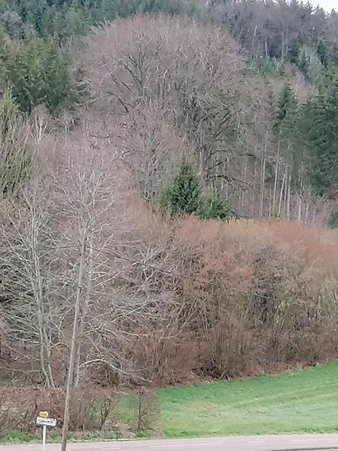 Air Paix Le Mont Villa Herpelmont Exterior foto